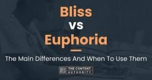 The Euphoria Effect Unlocking the Secrets to Lasting Bliss